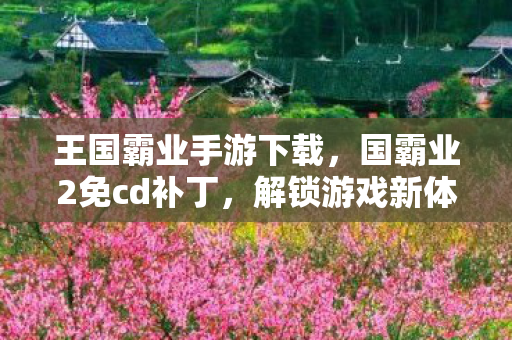 王国霸业手游下载，国霸业2免cd补丁，解锁游戏新体验，安全使用是关键