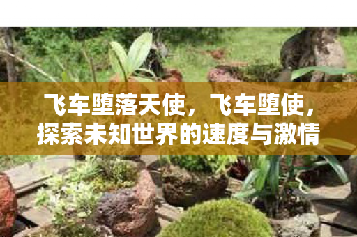飞车堕落天使，飞车堕使，探索未知世界的速度与激情