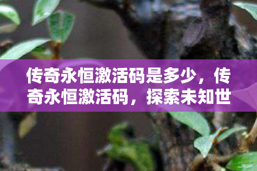 传奇永恒激活码是多少，传奇永恒激活码，探索未知世界的钥匙