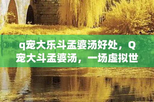 q宠大乐斗孟婆汤好处，Q宠大斗孟婆汤，一场虚拟世界的奇幻冒险