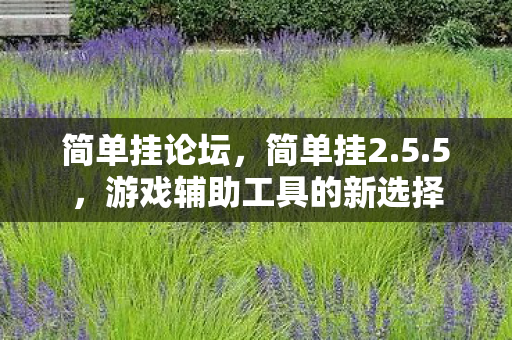 简单挂论坛，简单挂2.5.5，游戏辅助工具的新选择