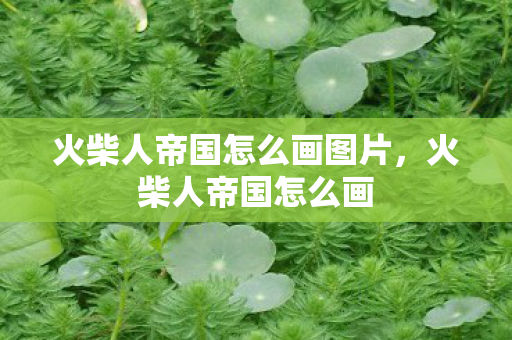 火柴人帝国怎么画图片，火柴人帝国怎么画