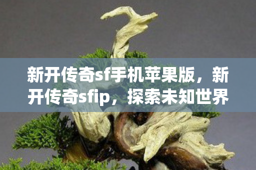 新开传奇sf手机苹果版，新开传奇sfip，探索未知世界的奇妙之旅