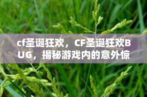 cf圣诞狂欢，CF圣诞狂欢BUG，揭秘游戏内的意外惊喜与挑战