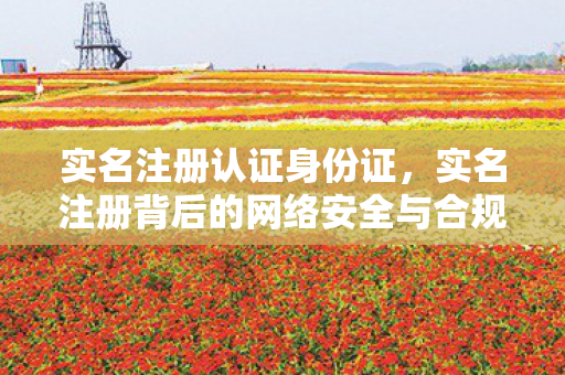 实名注册认证身份证，实名注册背后的网络安全与合规性探讨