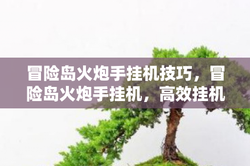 冒险岛火炮手挂机技巧，冒险岛火炮手挂机，高效挂机，轻松升级
