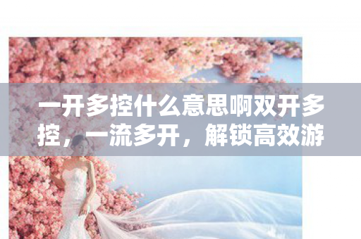 一开多控什么意思啊双开多控，一流多开，解锁高效游戏与工作的新境界