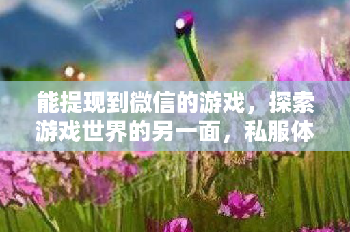 能提现到微信的游戏，探索游戏世界的另一面，私服体验的独特魅力