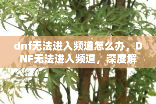 dnf无法进入频道怎么办，DNF无法进入频道，深度解析游戏连接问题背后的原因与解决方案