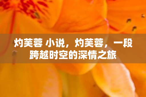 灼芙蓉 小说，灼芙蓉，一段跨越时空的深情之旅