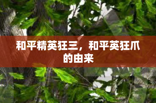 和平精英狂三，和平英狂爪的由来