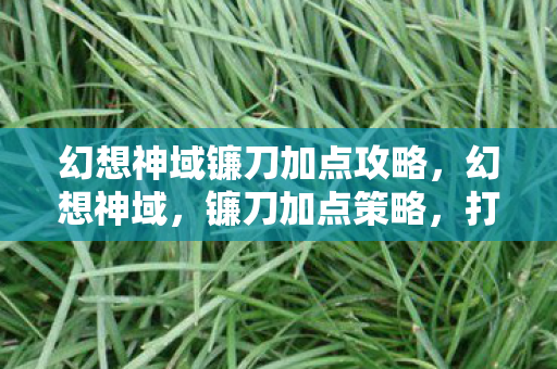 幻想神域镰刀加点攻略，幻想神域，镰刀加点策略，打造最强战斗体验