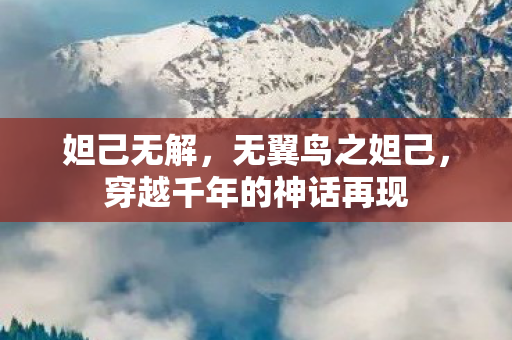 妲己无解，无翼鸟之妲己，穿越千年的神话再现
