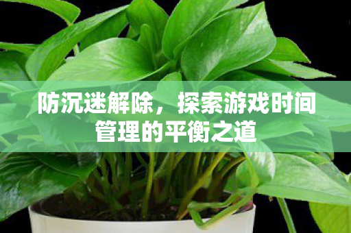 防沉迷解除，探索游戏时间管理的平衡之道