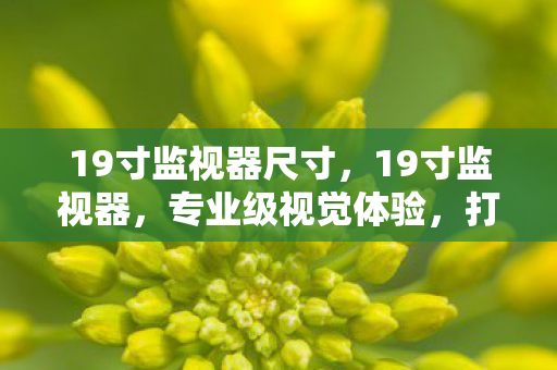 19寸监视器尺寸，19寸监视器，专业级视觉体验，打造高效工作空间