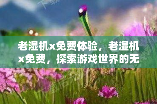 老湿机x免费体验，老湿机x免费，探索游戏世界的无限可能