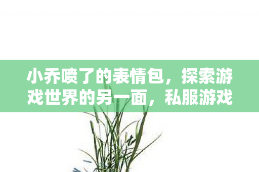 小乔喷了的表情包，探索游戏世界的另一面，私服游戏的兴起与影响