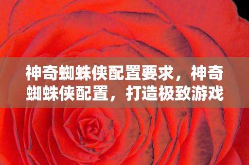 神奇蜘蛛侠配置要求，神奇蜘蛛侠配置，打造极致游戏体验的硬件指南
