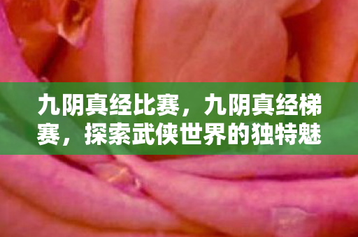 九阴真经比赛，九阴真经梯赛，探索武侠世界的独特魅力