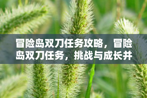 冒险岛双刀任务攻略，冒险岛双刀任务，挑战与成长并进的冒险之旅