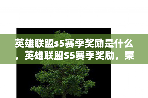 英雄联盟s5赛季奖励是什么，英雄联盟S5赛季奖励，荣耀与梦想的见证