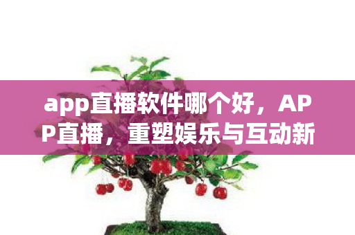 app直播软件哪个好，APP直播，重塑娱乐与互动新生态