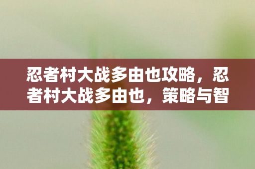 忍者村大战多由也攻略，忍者村大战多由也，策略与智慧的碰撞