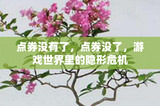点券没有了，点券没了，游戏世界里的隐形危机