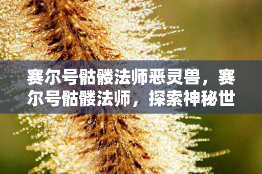 赛尔号骷髅法师恶灵兽，赛尔号骷髅法师，探索神秘世界的奇幻之旅