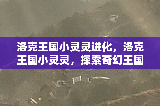 洛克王国小灵灵进化，洛克王国小灵灵，探索奇幻王国的奇妙冒险