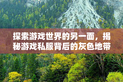 探索游戏世界的另一面，揭秘游戏私服背后的灰色地带