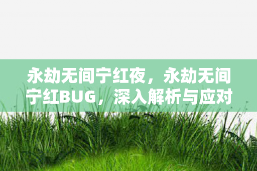 永劫无间宁红夜，永劫无间宁红BUG，深入解析与应对策略