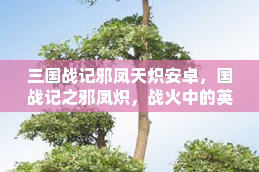 三国战记邪凤天炽安卓，国战记之邪凤炽，战火中的英雄与传奇
