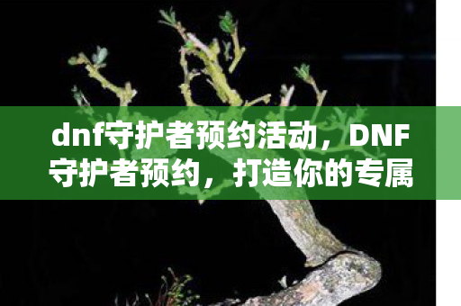 dnf守护者预约活动，DNF守护者预约，打造你的专属守护者，开启冒险之旅
