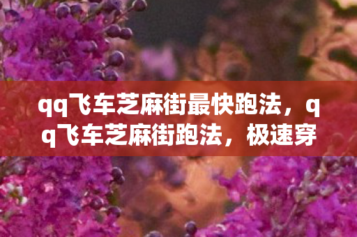 qq飞车芝麻街最快跑法，qq飞车芝麻街跑法，极速穿越的秘诀