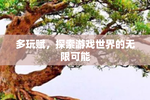 多玩赋，探索游戏世界的无限可能