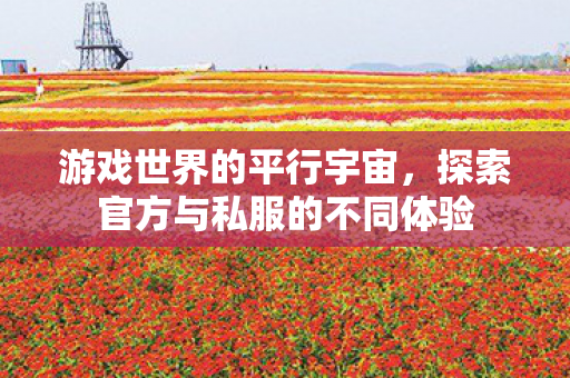 游戏世界的平行宇宙，探索官方与私服的不同体验