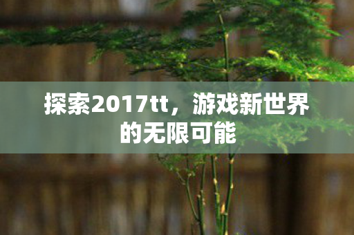 探索2017tt，游戏新世界的无限可能