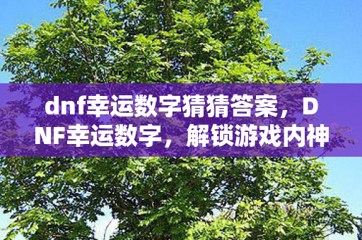 dnf幸运数字猜猜答案，DNF幸运数字，解锁游戏内神秘宝藏的钥匙