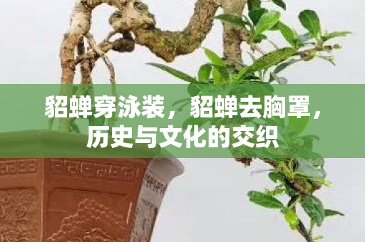 貂蝉穿泳装，貂蝉去胸罩，历史与文化的交织