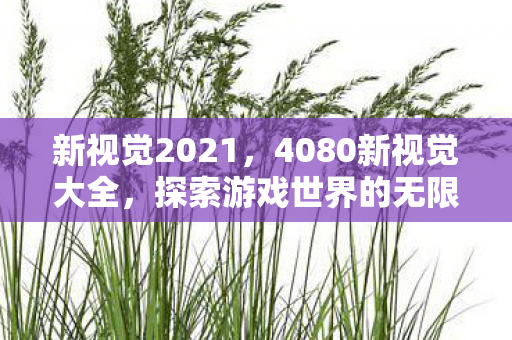 新视觉2021，4080新视觉大全，探索游戏世界的无限可能