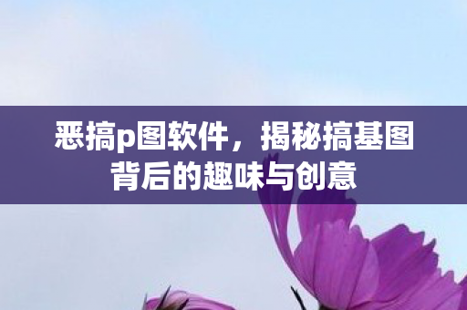 恶搞p图软件，揭秘搞基图背后的趣味与创意