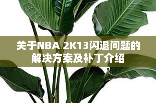 关于NBA 2K13闪退问题的解决方案及补丁介绍