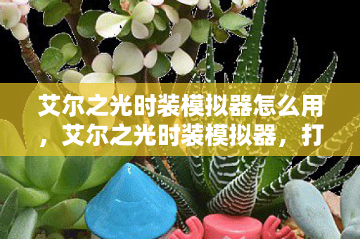 艾尔之光时装模拟器怎么用，艾尔之光时装模拟器，打造个性化时尚新体验