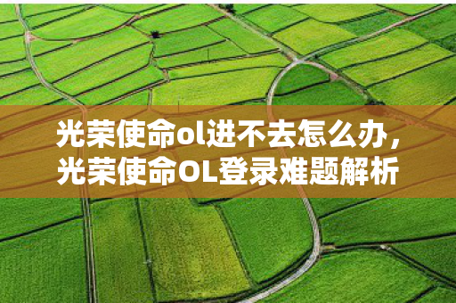 光荣使命ol进不去怎么办，光荣使命OL登录难题解析