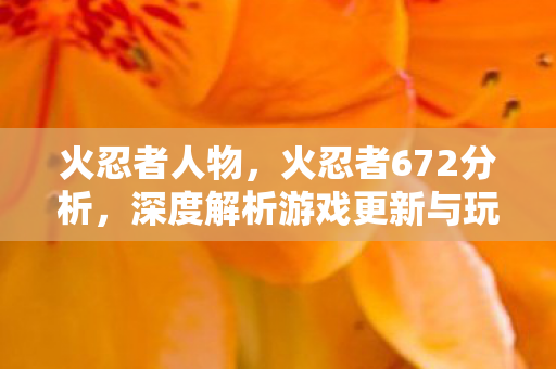 火忍者人物，火忍者672分析，深度解析游戏更新与玩家体验