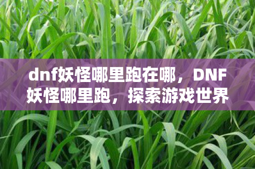 dnf妖怪哪里跑在哪，DNF妖怪哪里跑，探索游戏世界的神秘生物