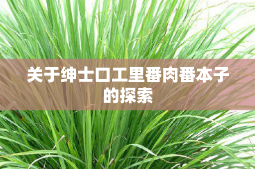 关于绅士口工里番肉番本子的探索