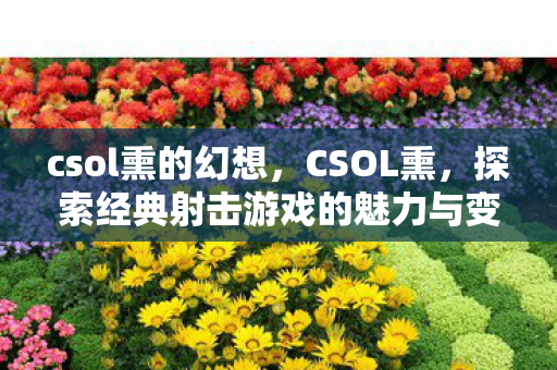 csol熏的幻想，CSOL熏，探索经典射击游戏的魅力与变迁