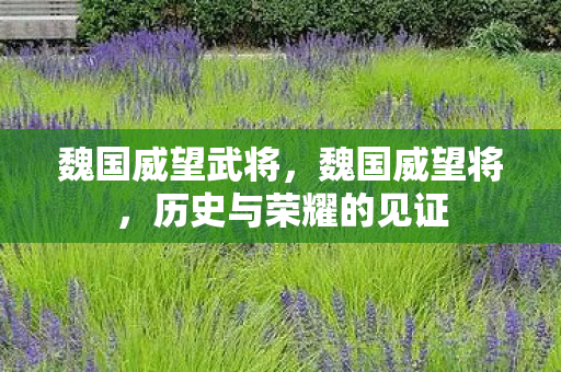 魏国威望武将，魏国威望将，历史与荣耀的见证
